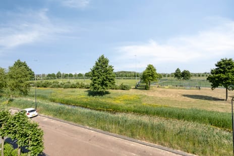 Schrepel 38 secondary image