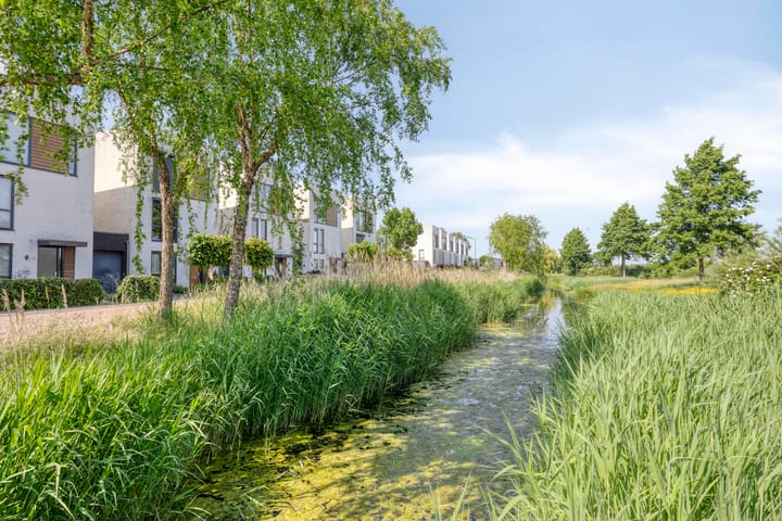 Foto 32 van Schrepel 38