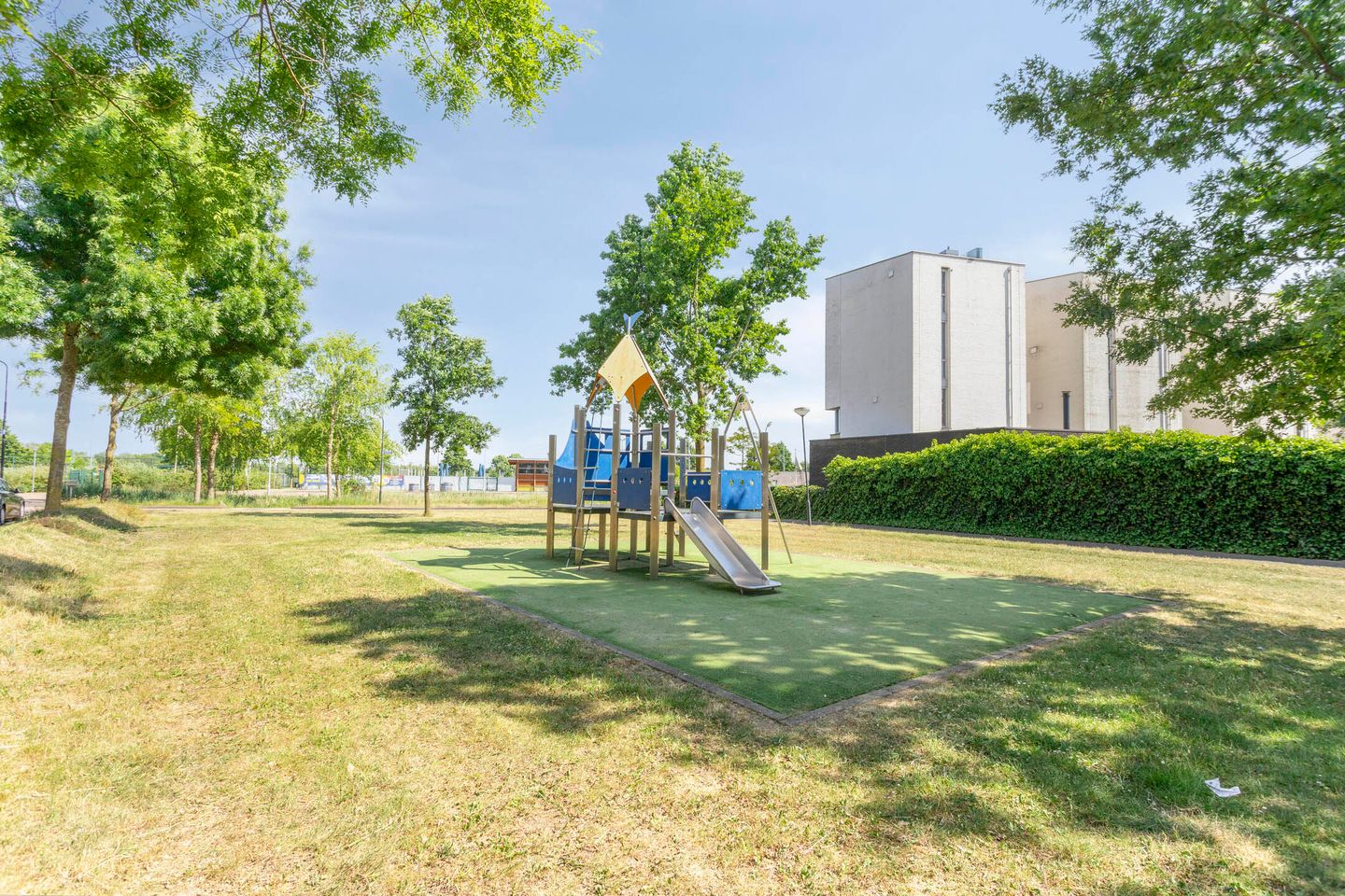 Photo 34 of Schrepel 38