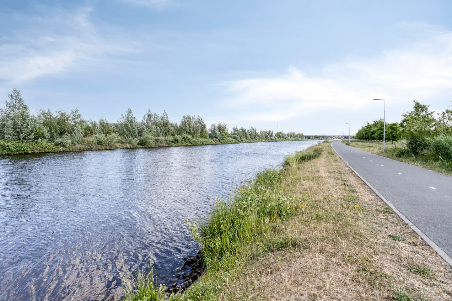 Photo 35 of Schrepel 38