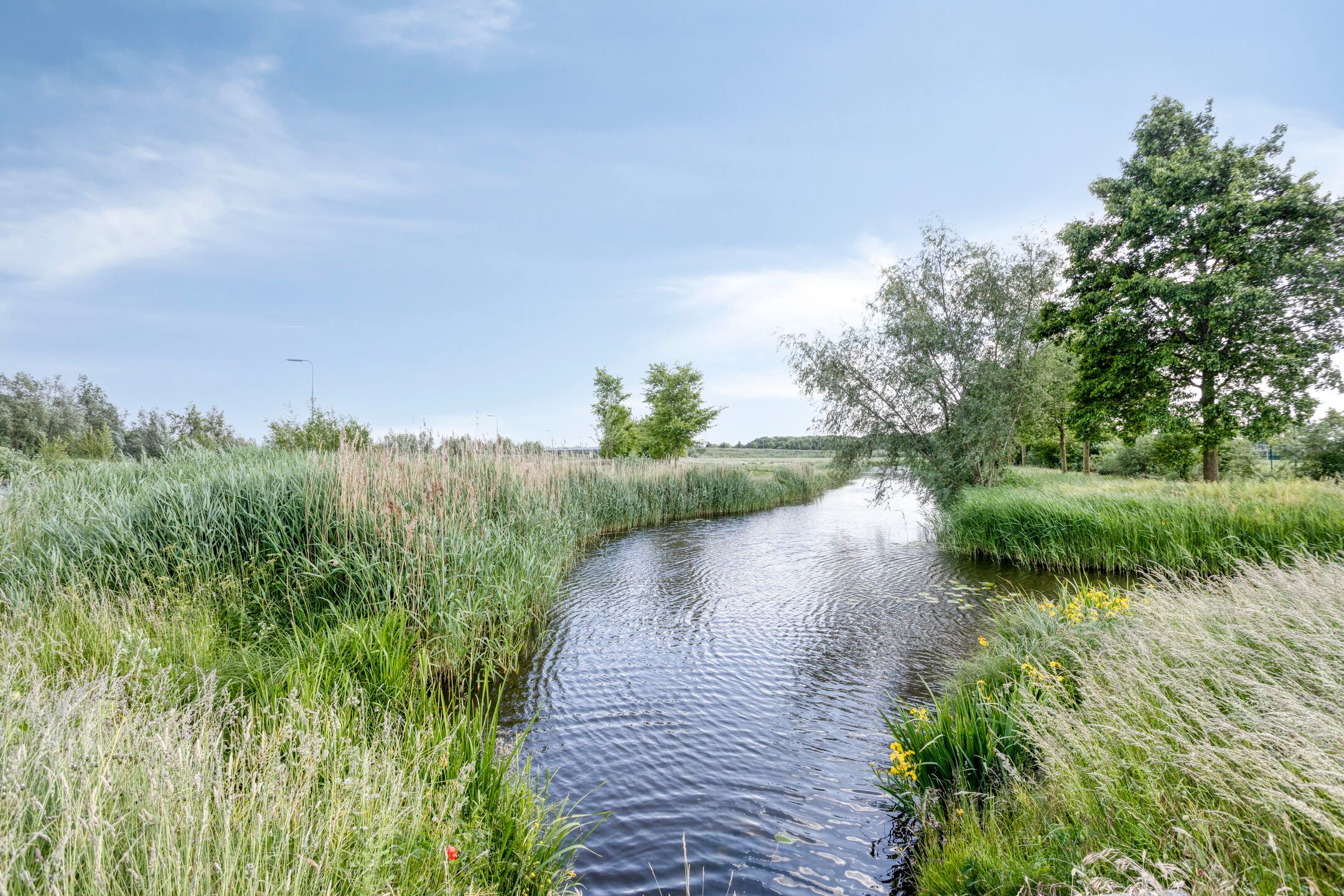 Photo 36 of Schrepel 38