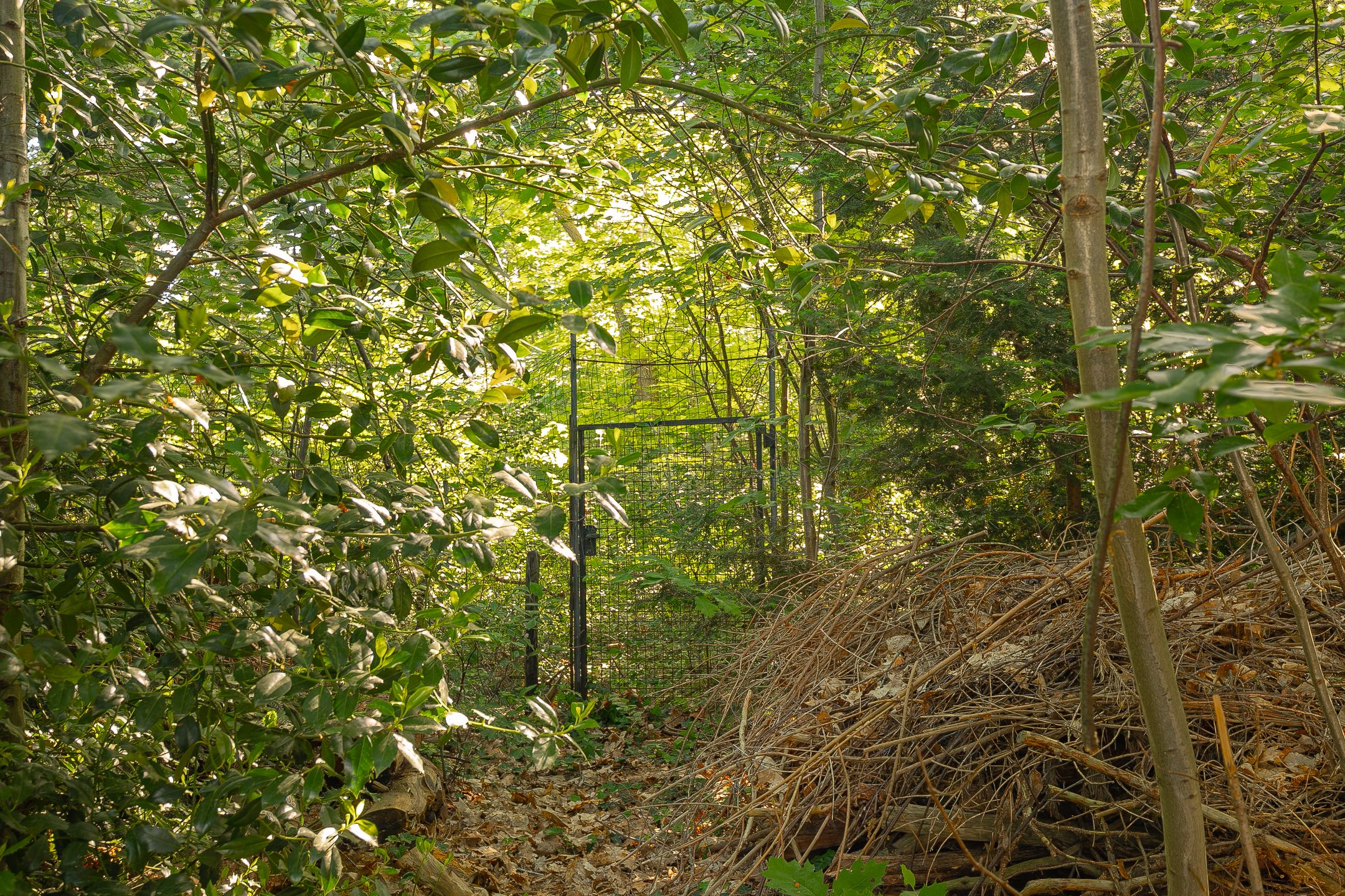 Foto 15 van Kerkweg 41