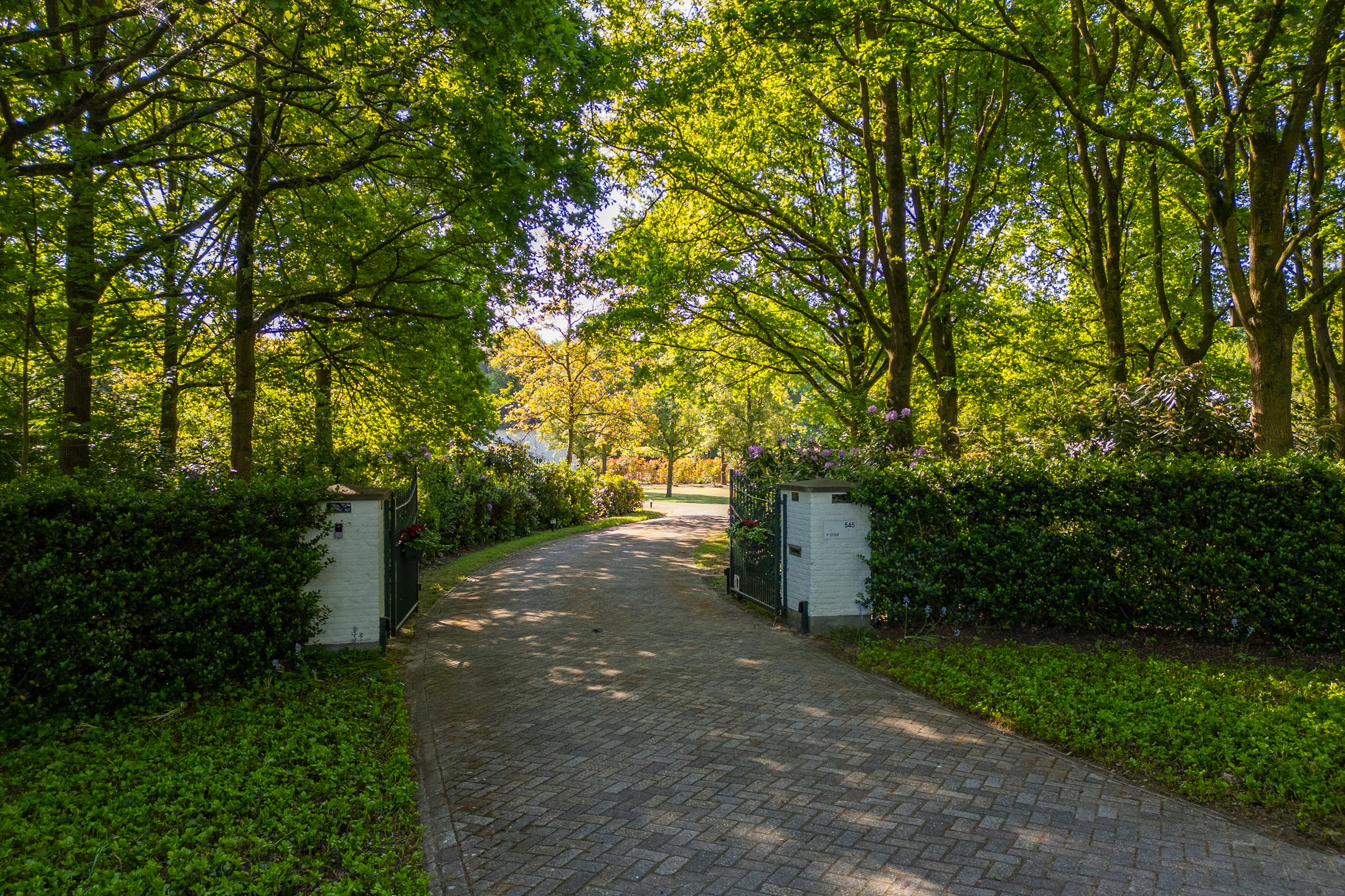 Foto 9 van Rijsbergseweg 545