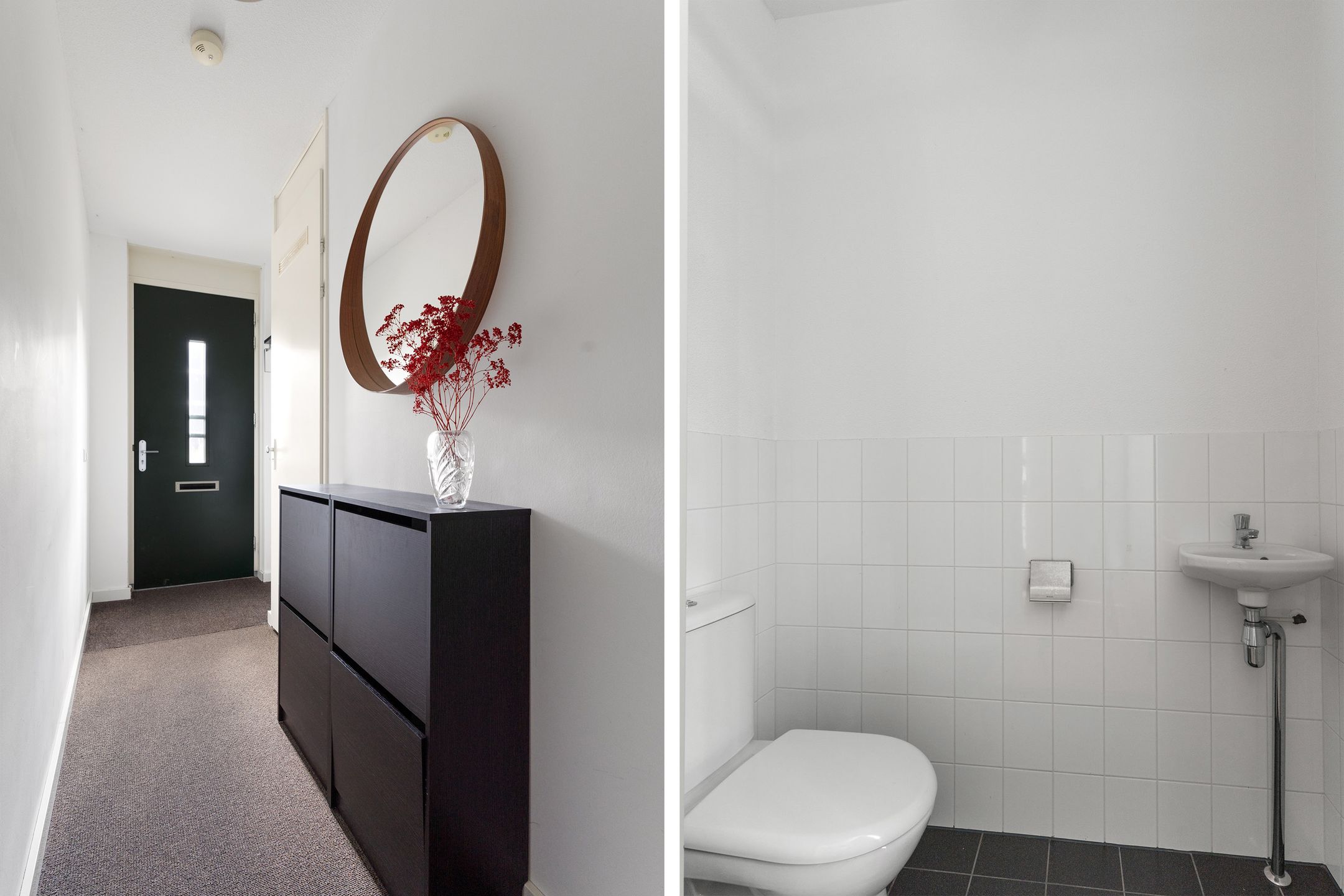 Foto 6 van Osirispad 111