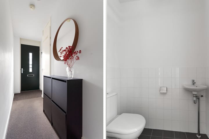 Foto 6 van Osirispad 111