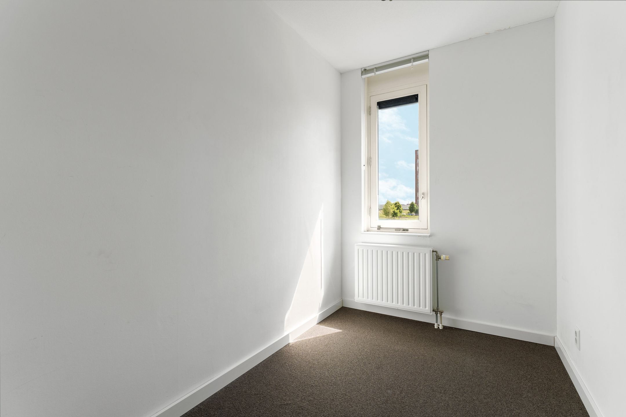 Foto 12 van Osirispad 111