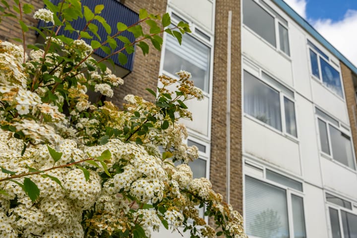 Foto 5 van Kastanjelaan 20