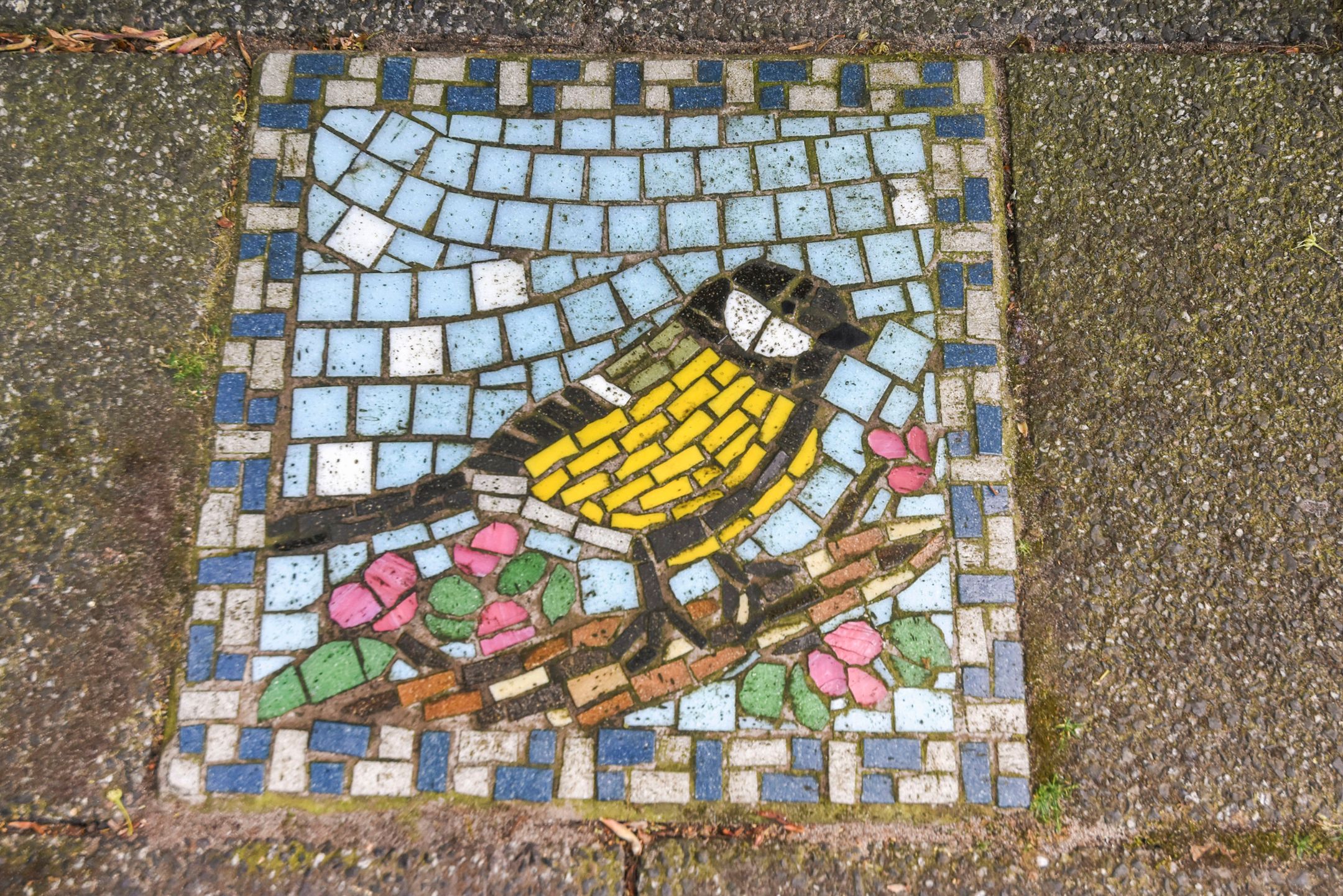 Foto 6 van Mezenlaan 12