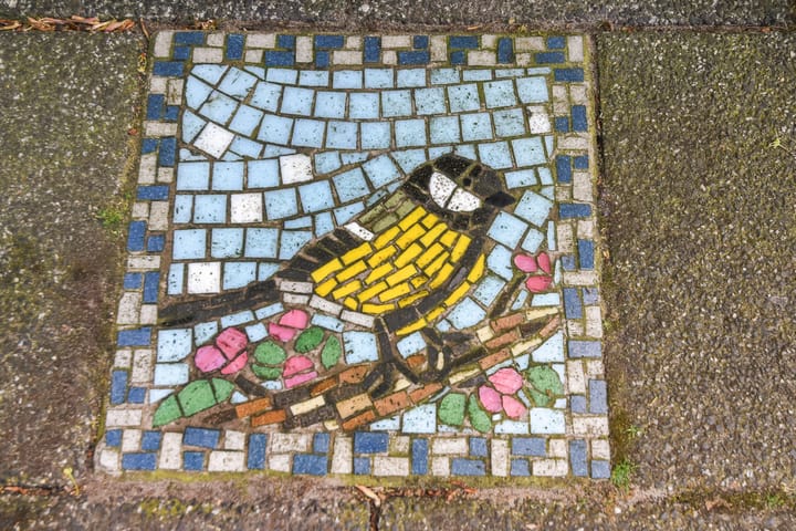 Foto 6 van Mezenlaan 12