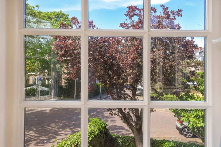 Foto 48 van Mezenlaan 12