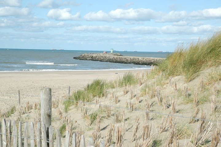 Foto 78 van Mezenlaan 12