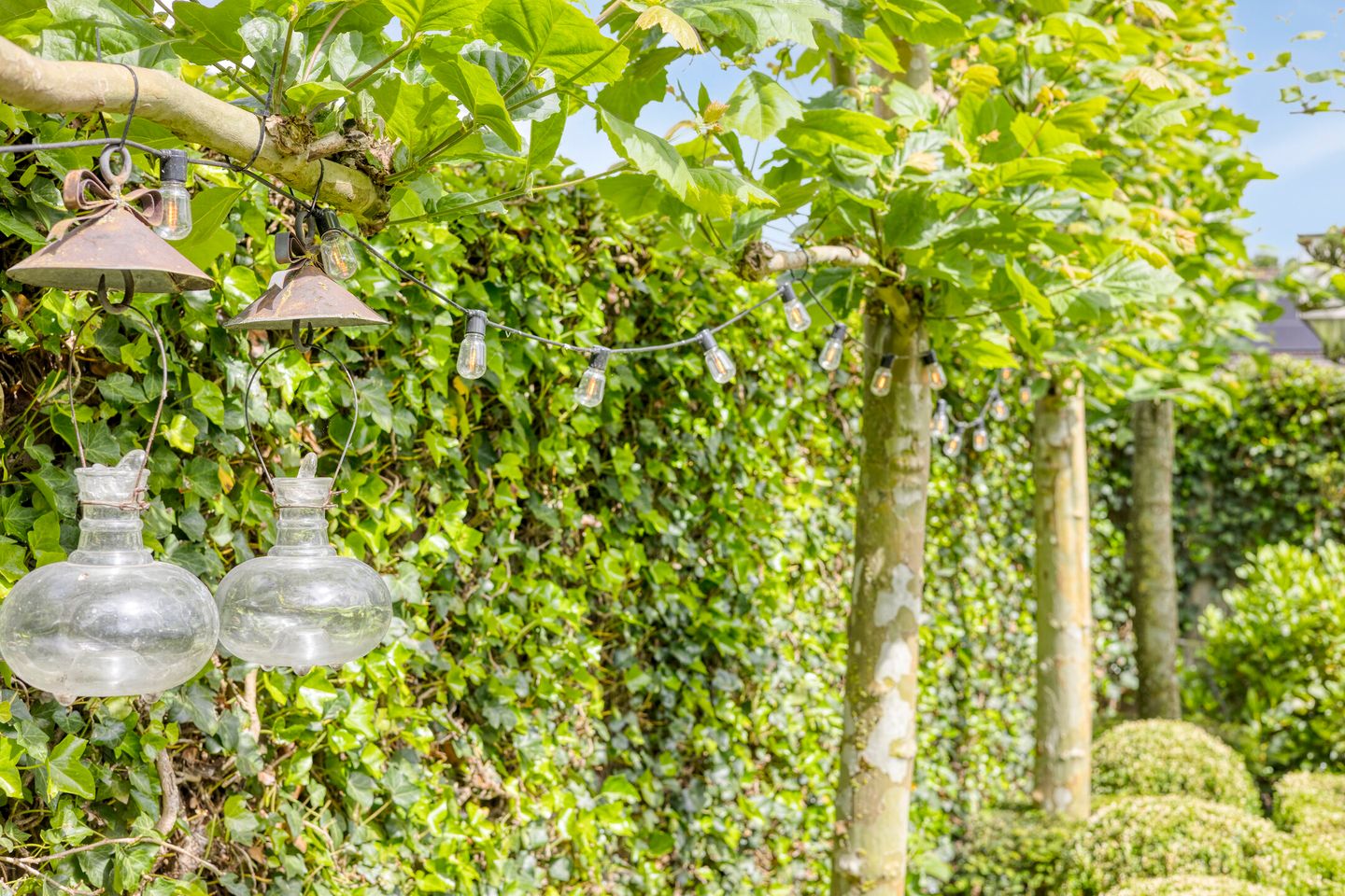 Foto 44 van Cruijsberg 5