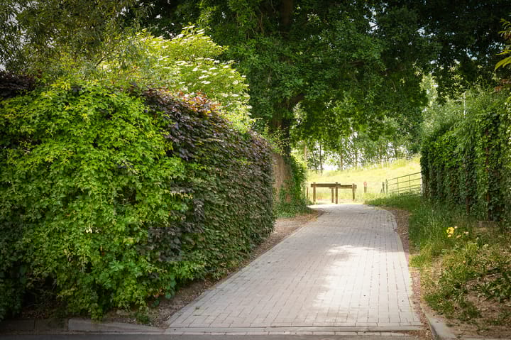 Foto 44 van Achterstraat 2