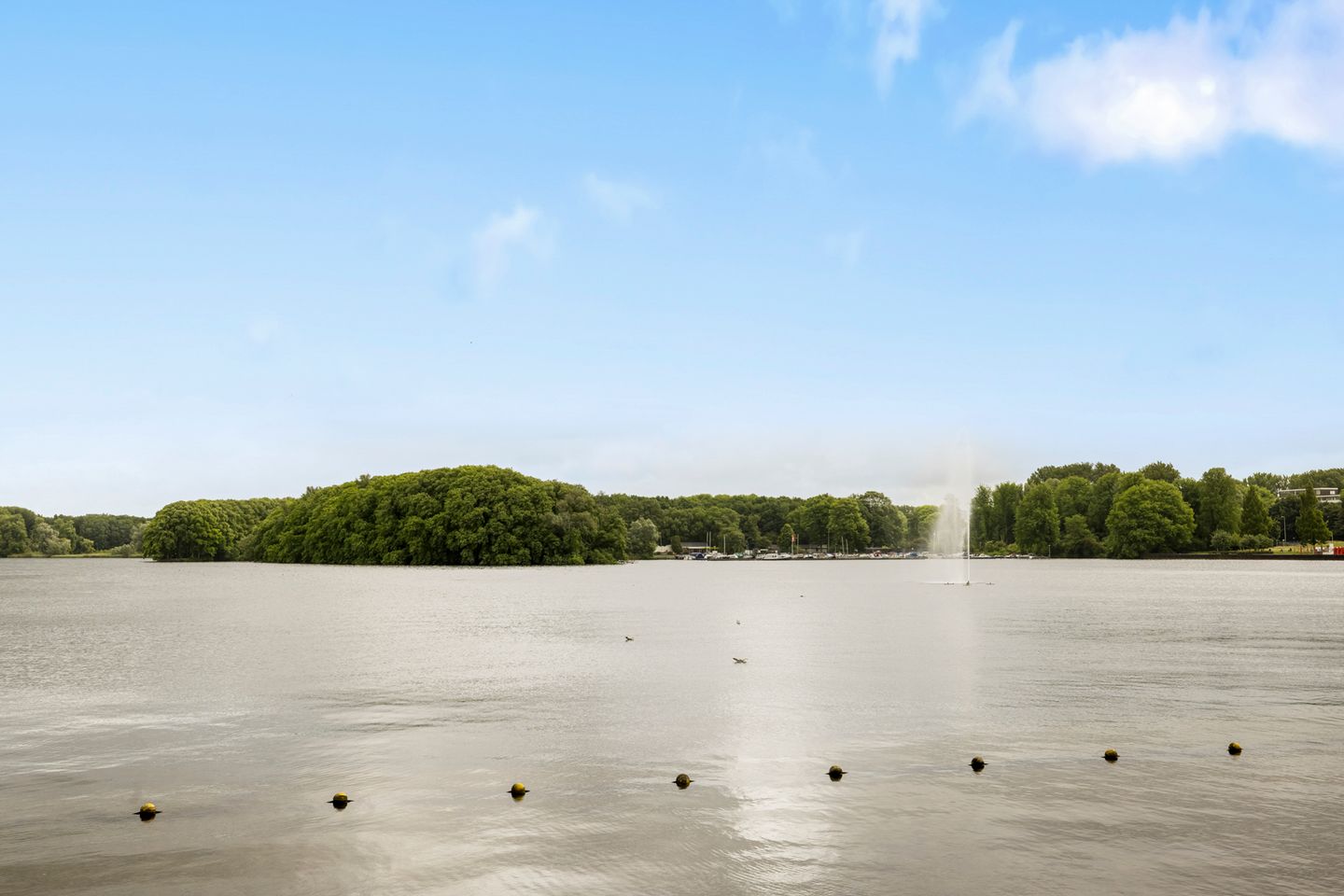 Foto 29 van Nicolaas Anslijnstraat 37