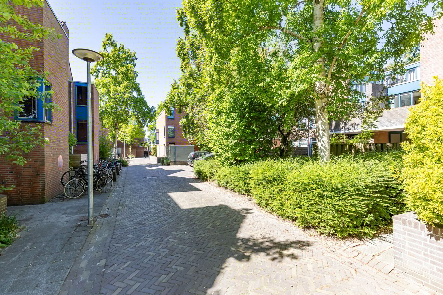 Foto 5 van Petrus Campersingel 31-52