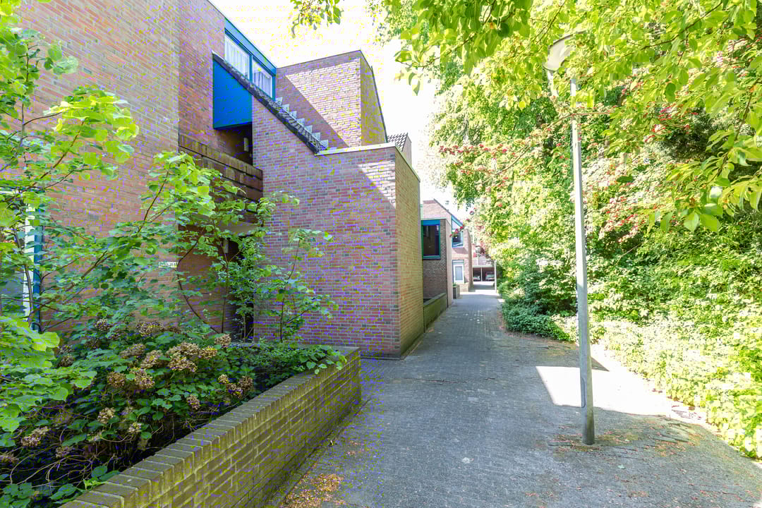 Foto 8 van Petrus Campersingel 31-52