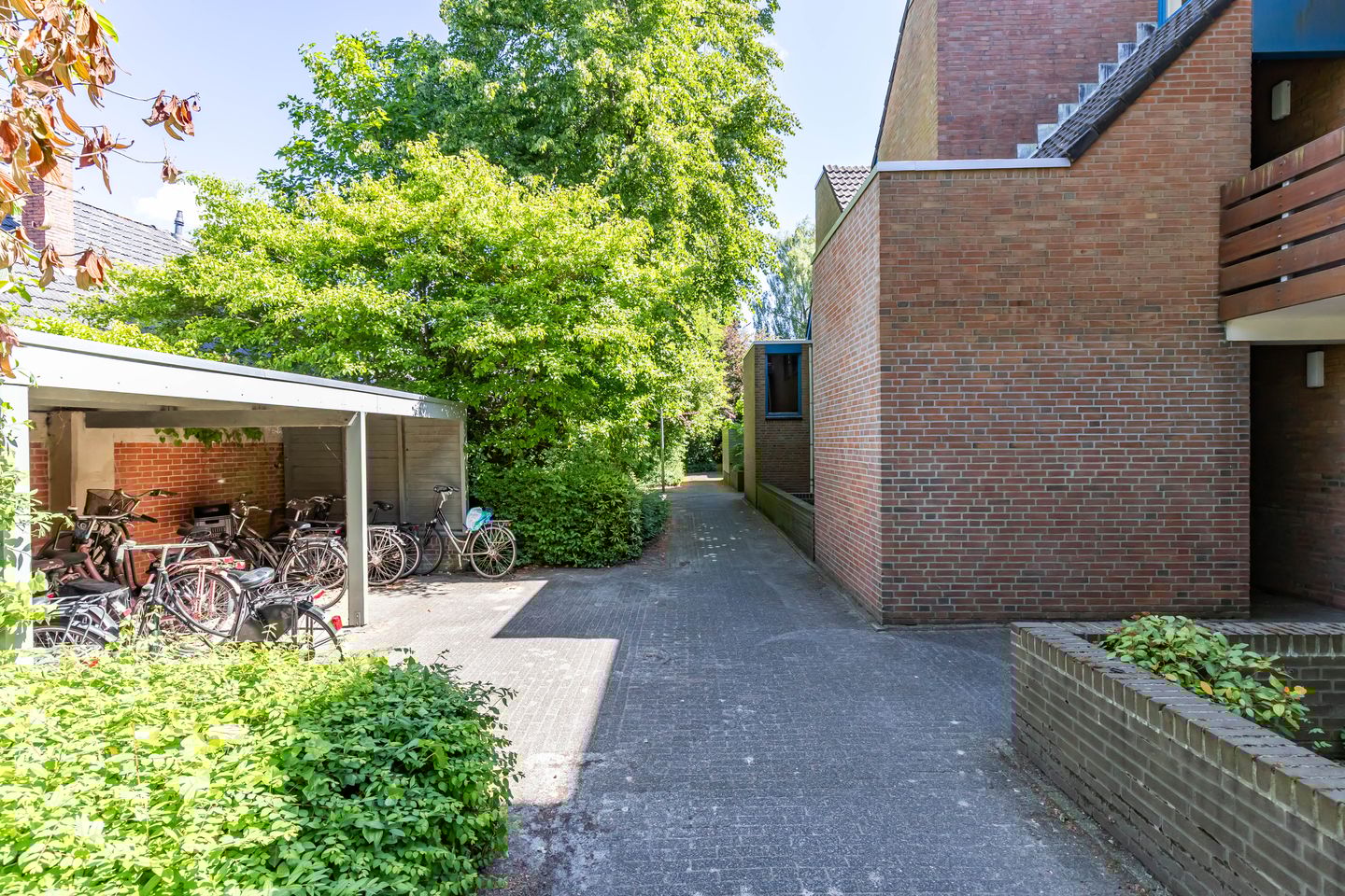 Foto 10 van Petrus Campersingel 31-52