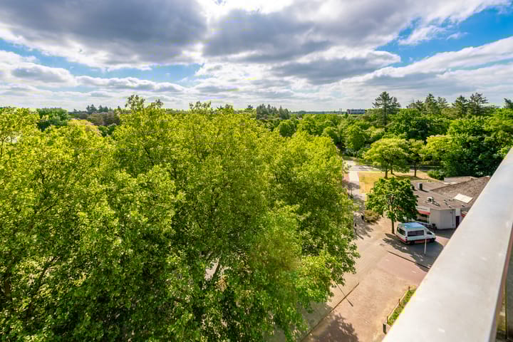 Foto 13 van Laan van Vollenhove 1002