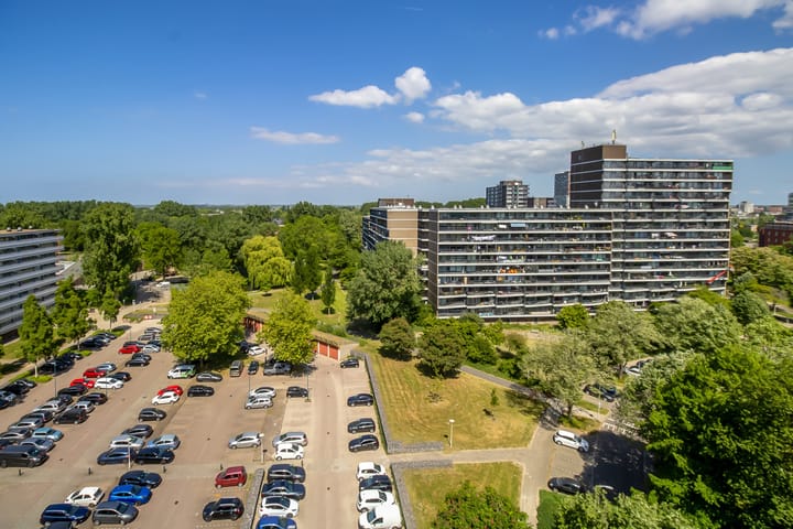 Foto 7 van Belvédèrebos 102