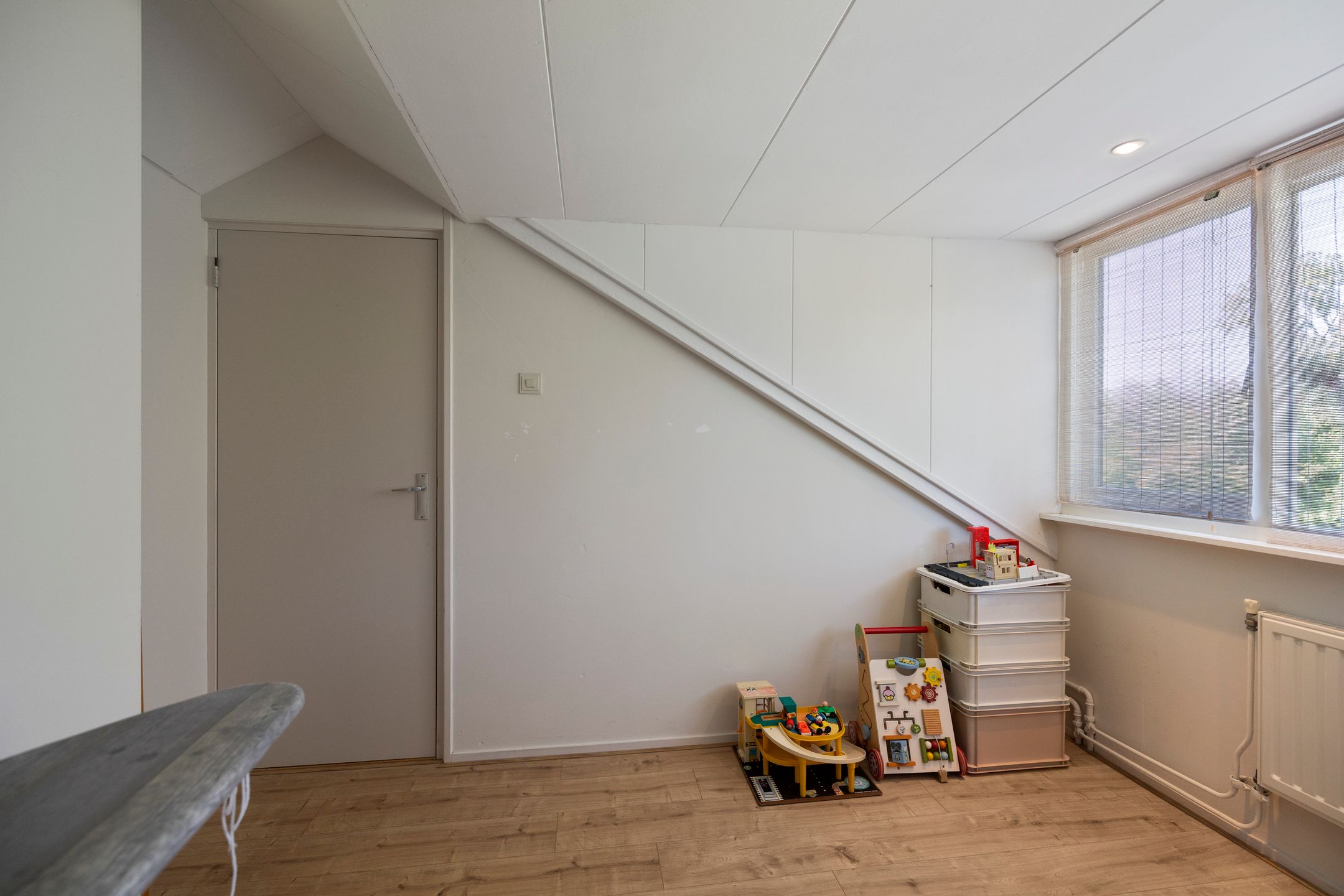 Foto 18 van Hagedoornstraat 49