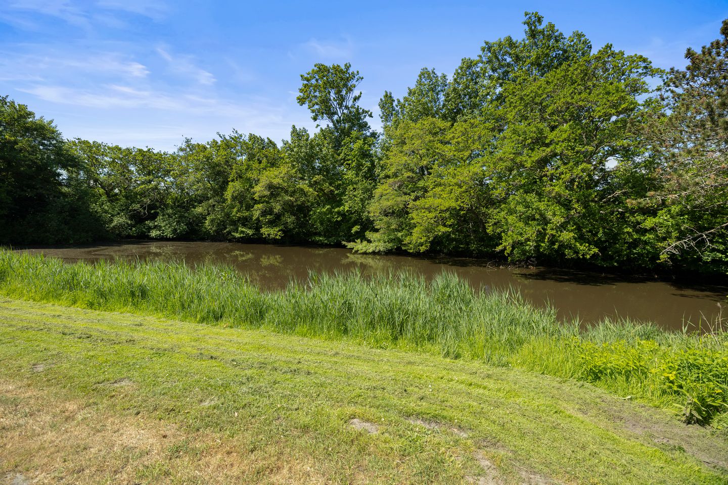 Foto 29 van Hagedoornstraat 49