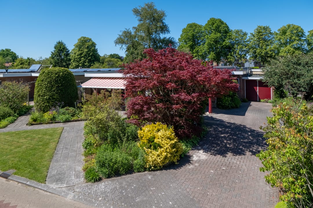 Foto 1 van Groevelaan 3