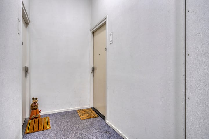 Foto 4 van Professor Pieter Willemsstraat 20-C