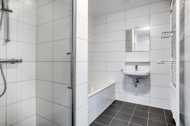 Foto 18 van Professor Pieter Willemsstraat 20-C