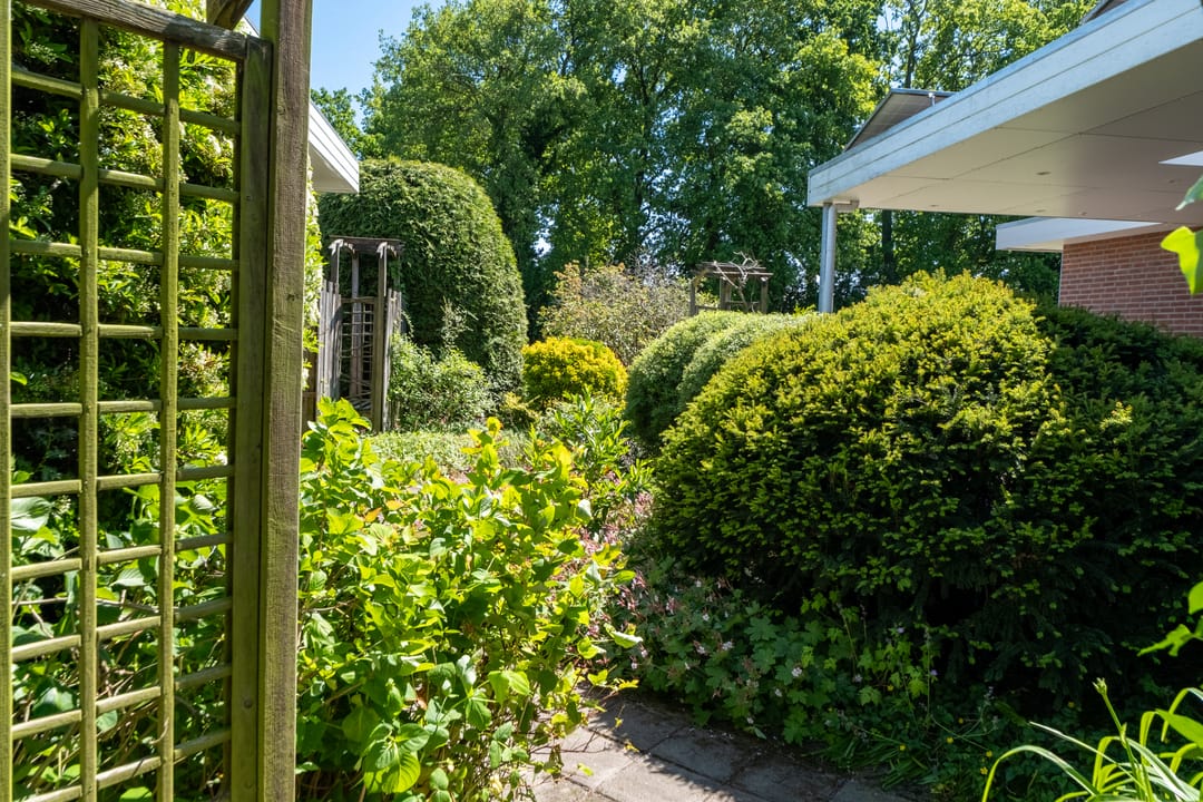 Foto 37 van Groevelaan 3