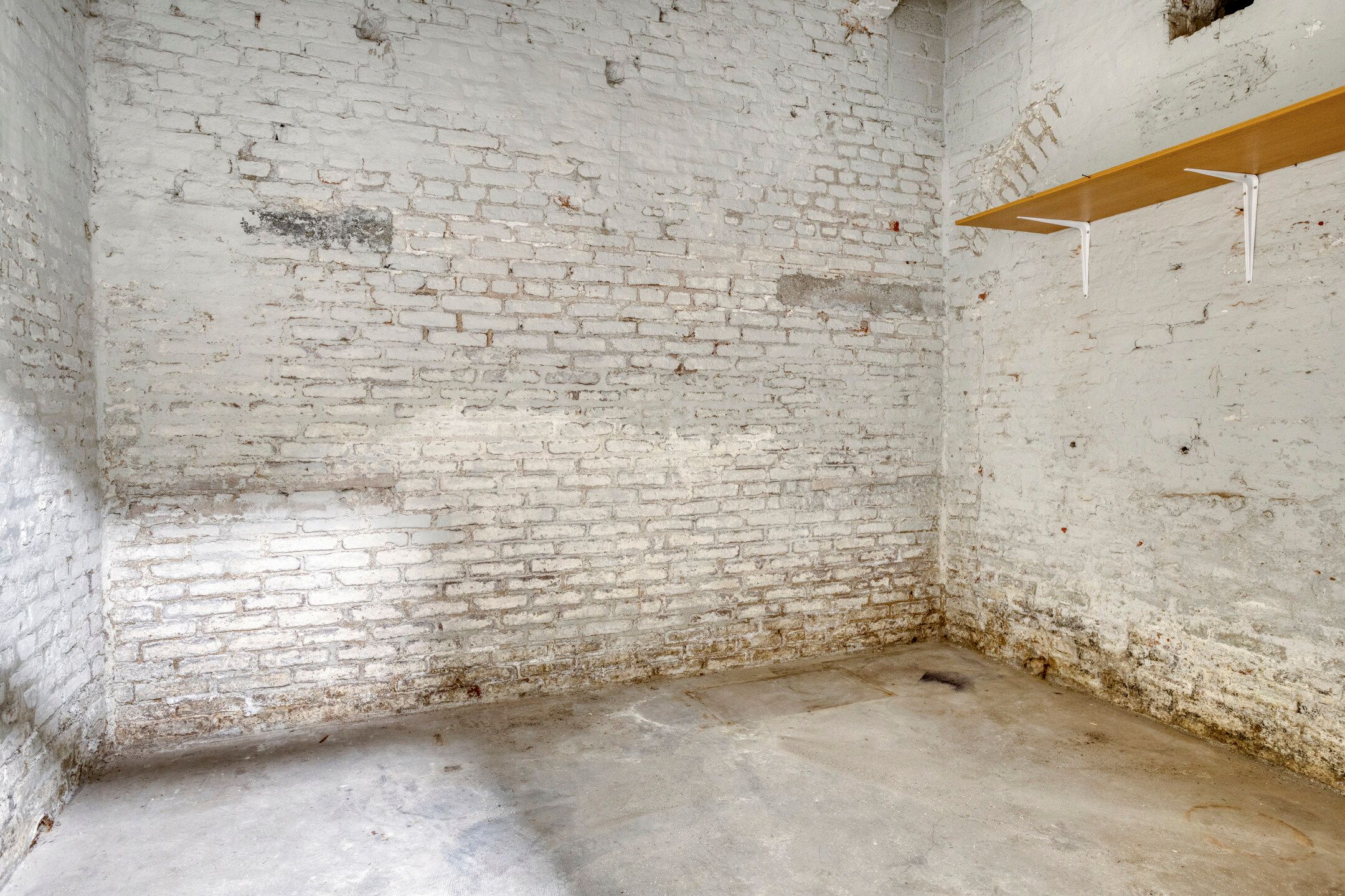 Photo 33 of Professor Pieter Willemsstraat 20-C