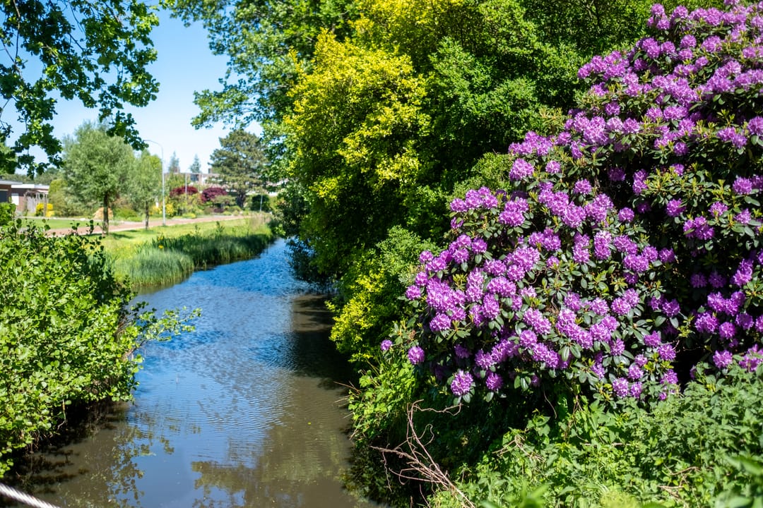 Foto 41 van Groevelaan 3