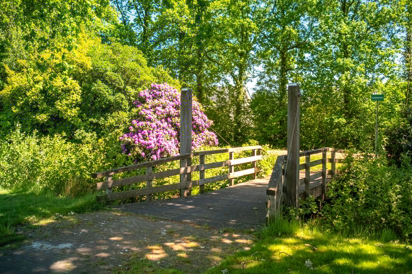 Foto 40 van Groevelaan 3