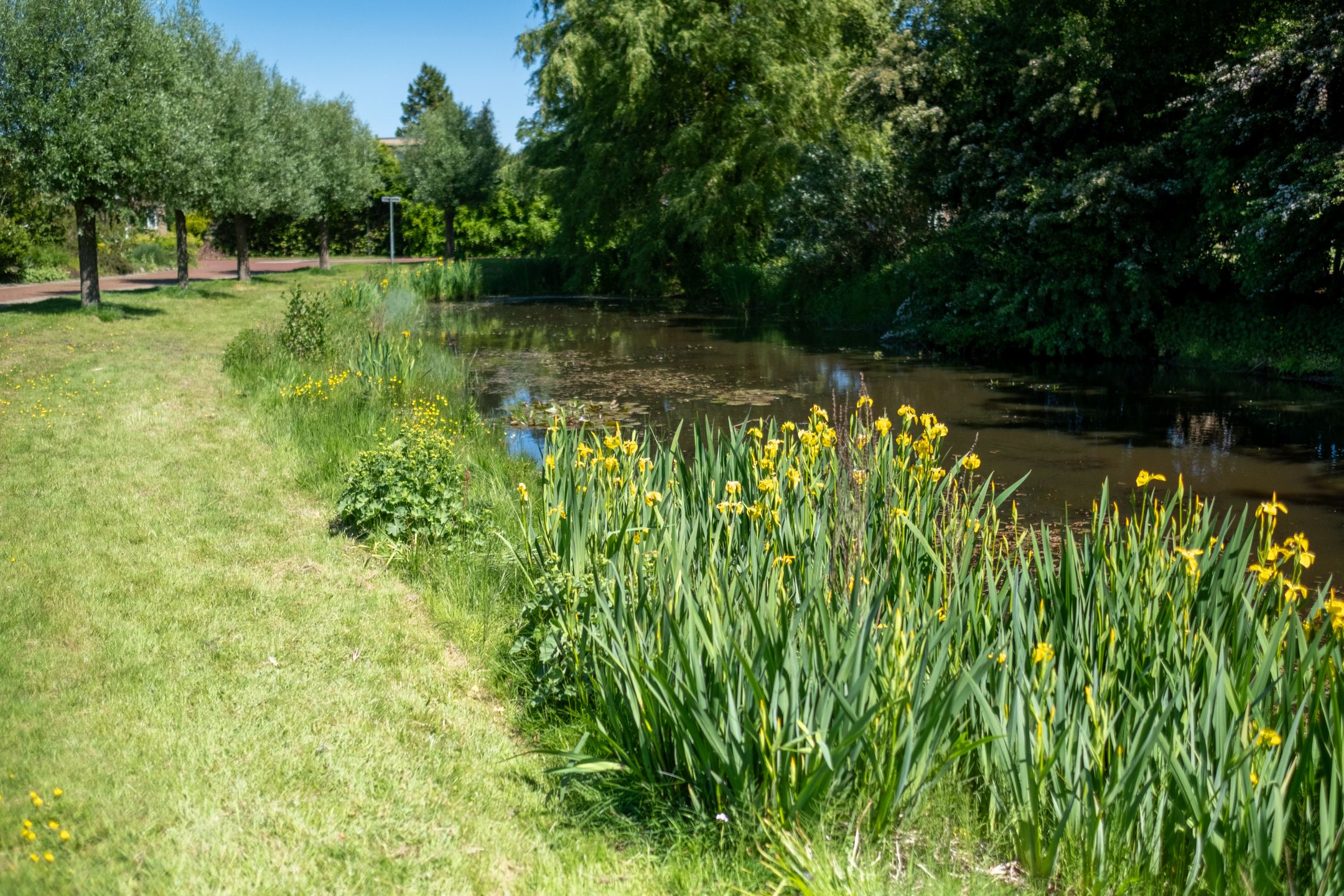 Foto 39 van Groevelaan 3