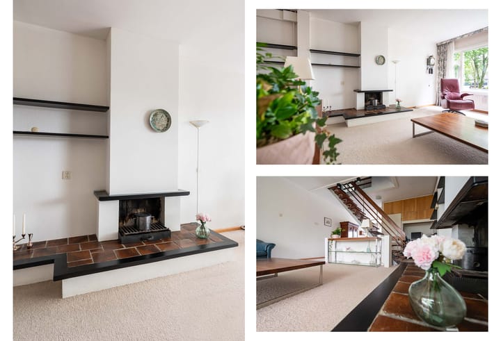 Foto 14 van Dovenetel 48