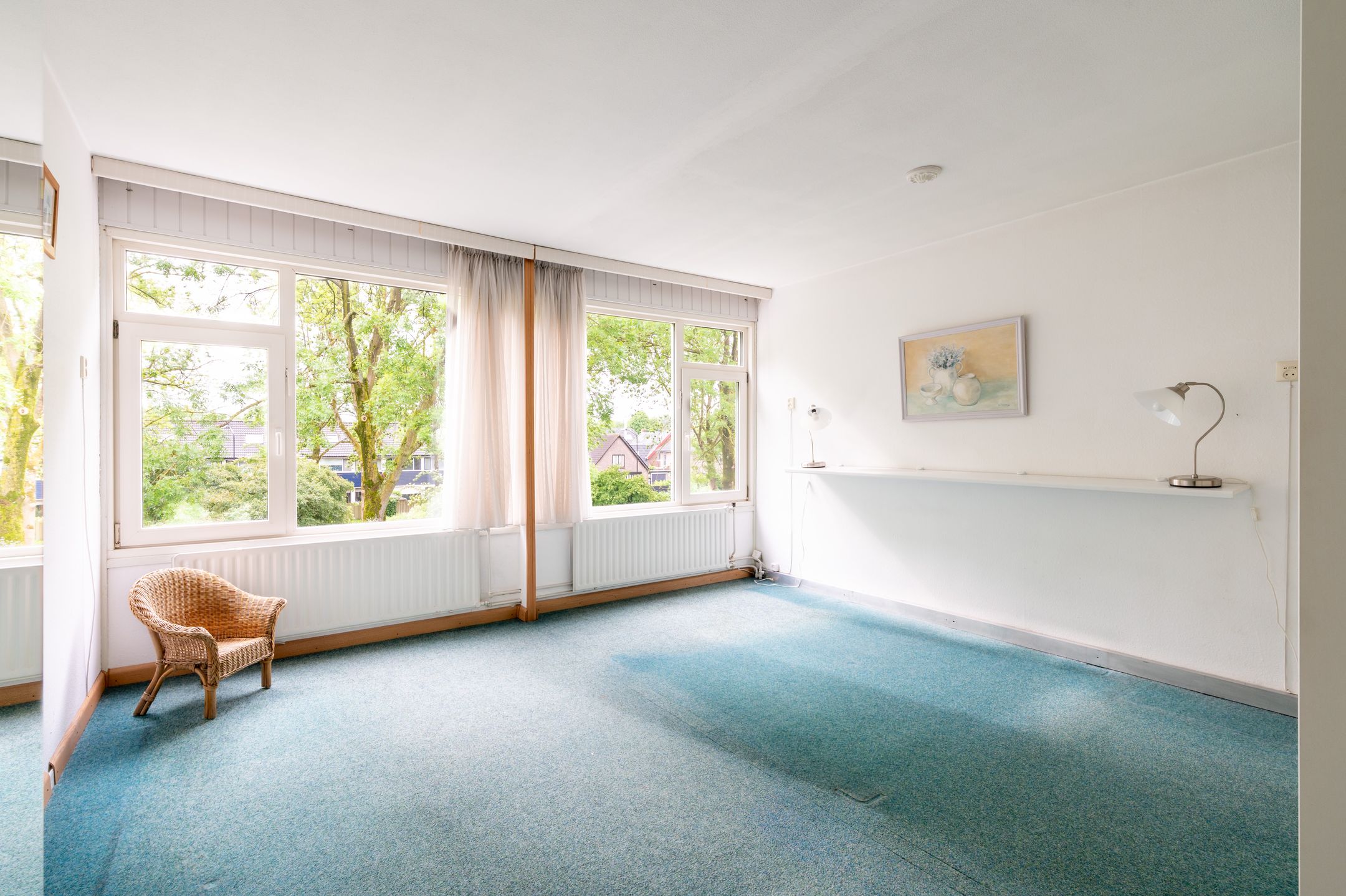 Foto 24 van Dovenetel 48