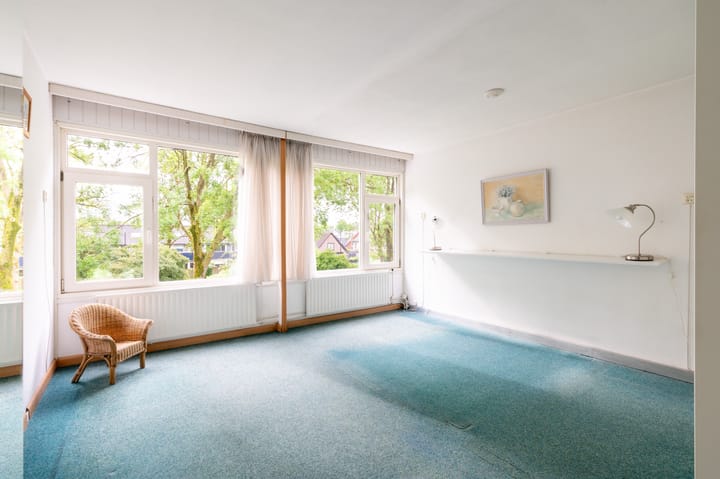 Foto 24 van Dovenetel 48