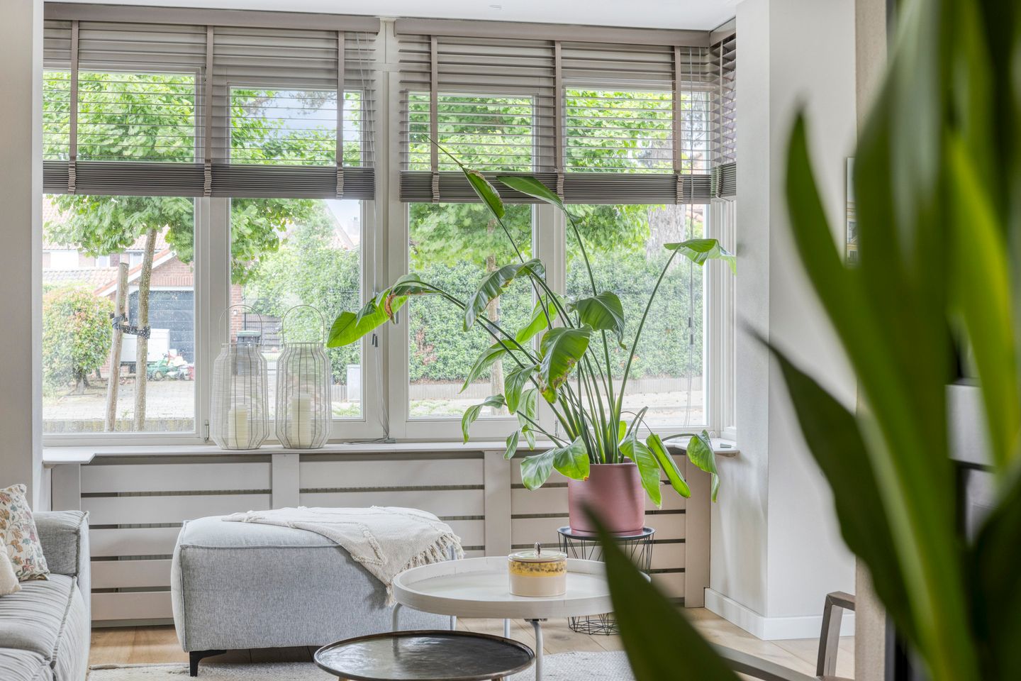 Photo 20 of Professor Schreinemakersstraat 33