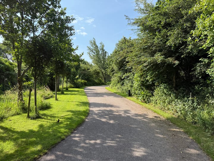 Photo 7 of Pontweg 99