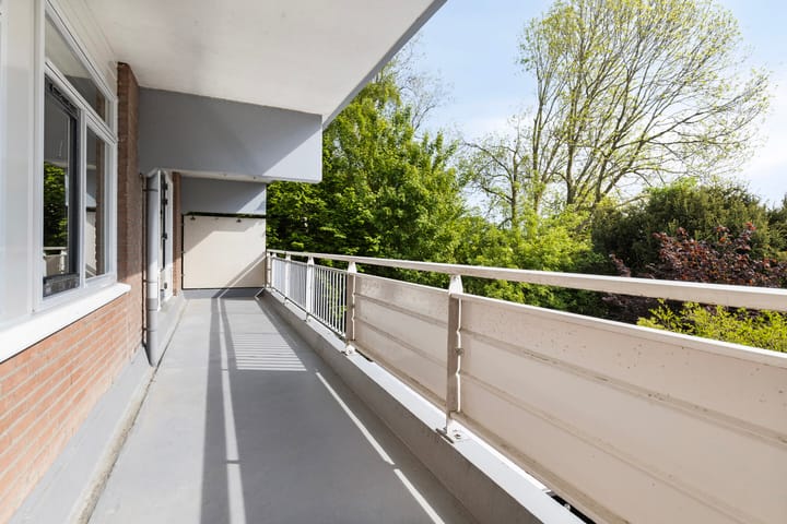 Foto 22 van Poolster 43