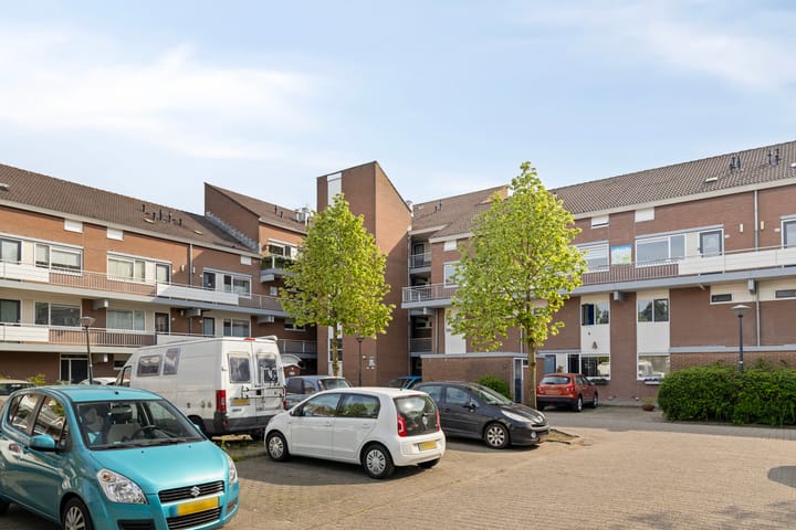 Foto 26 van Poolster 43