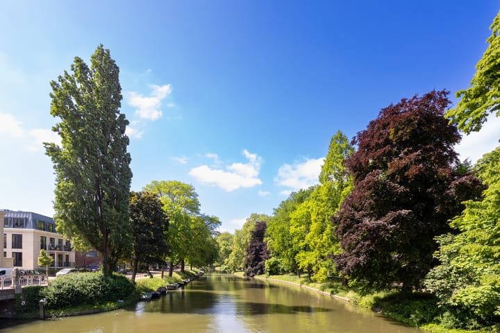 Foto 32 van Looierstraat 8