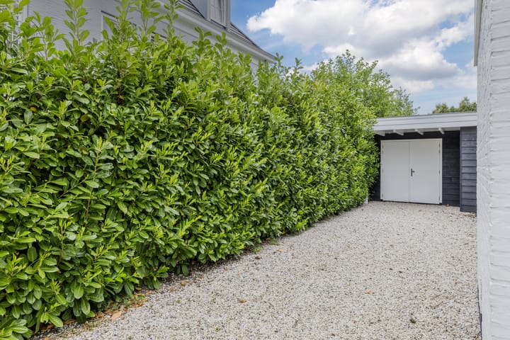 Photo 42 of Zuidlaan 14