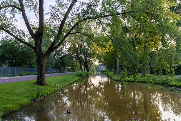 Photo 35 of Blondeelstraat 124