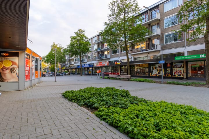 Photo 37 of Blondeelstraat 124