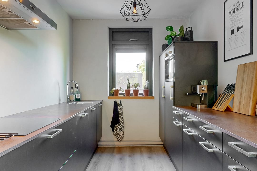 Photo 7 of Pelikaan 11