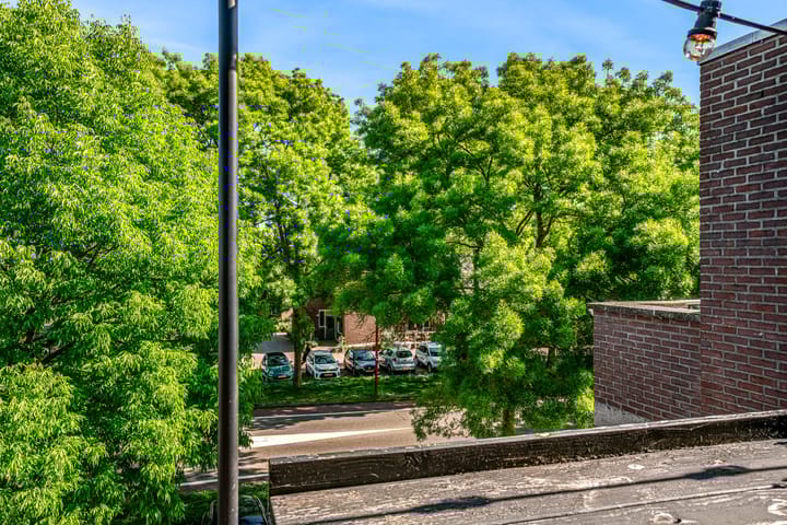 Foto 13 van Pelikaan 11