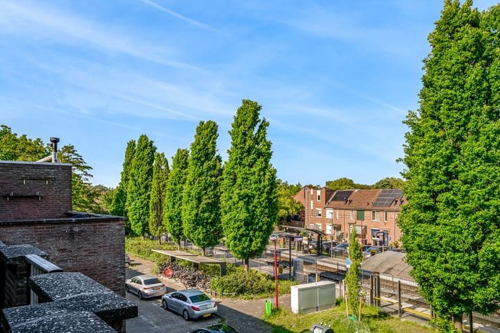 Foto 14 van Pelikaan 11