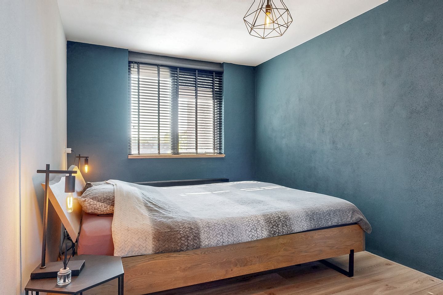 Photo 19 of Pelikaan 11