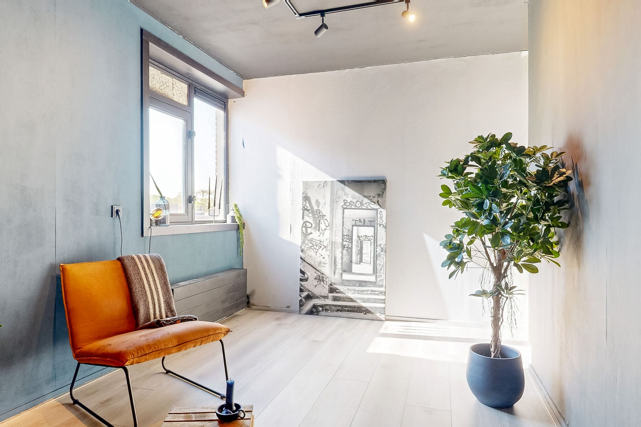 Photo 24 of Pelikaan 11