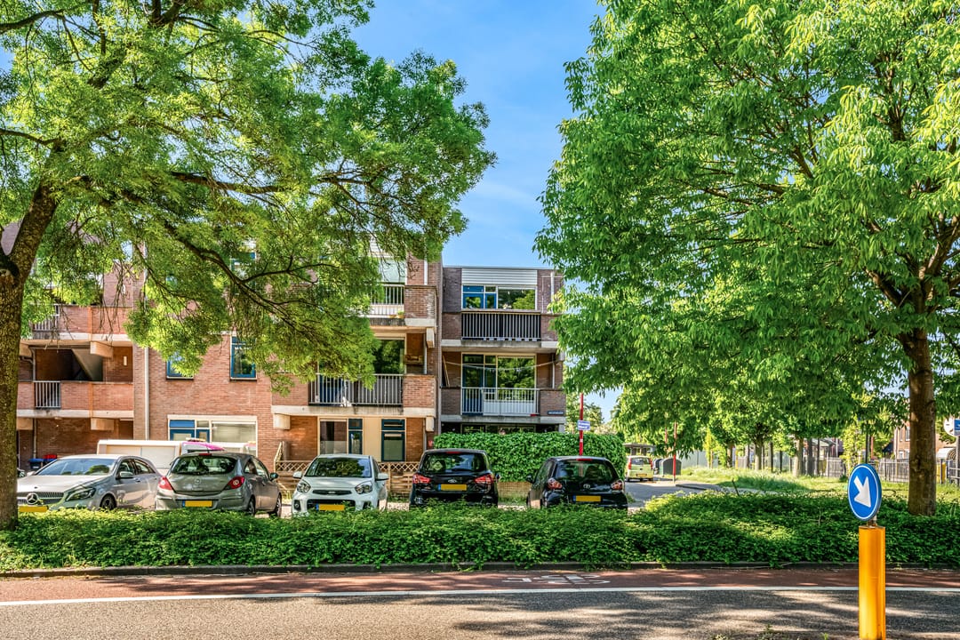 Photo 28 of Pelikaan 11